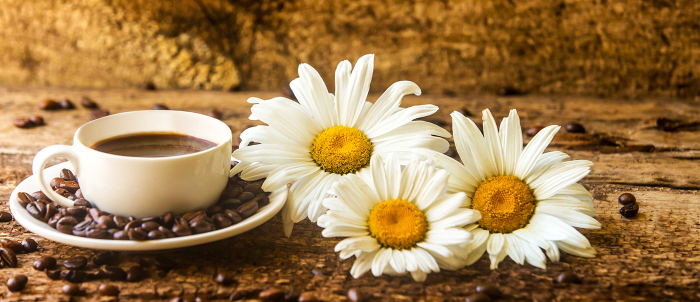 Coffee and flower.