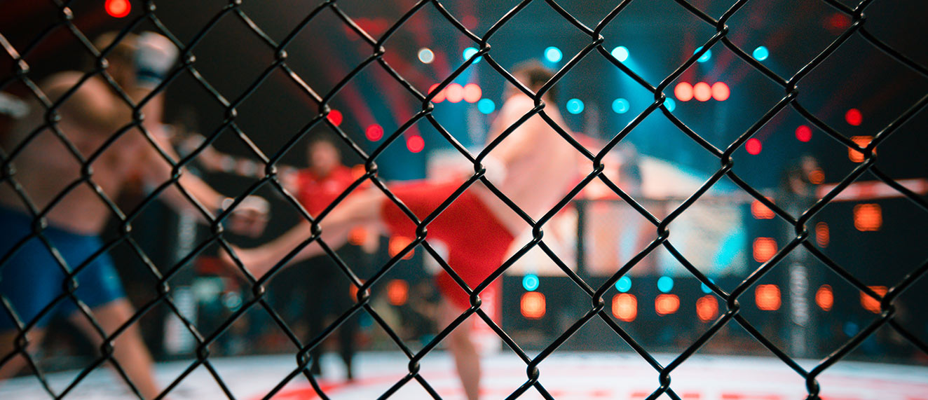 MMA fighters in a ring
