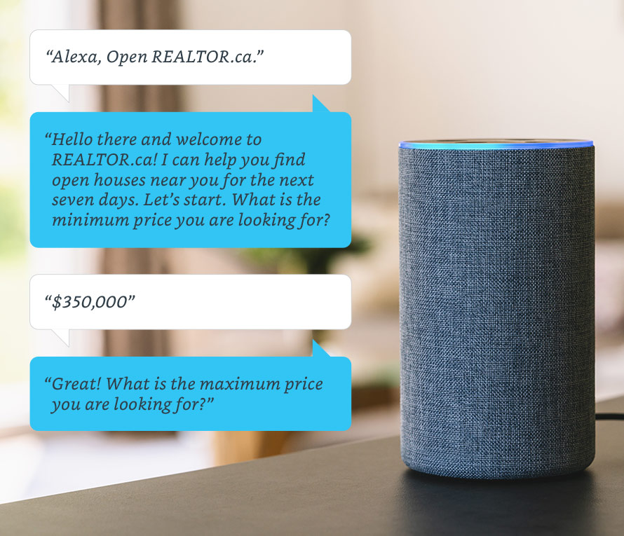 Graphic showing how Alexa skill works