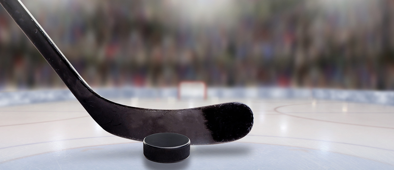 Hockey stick and puck.