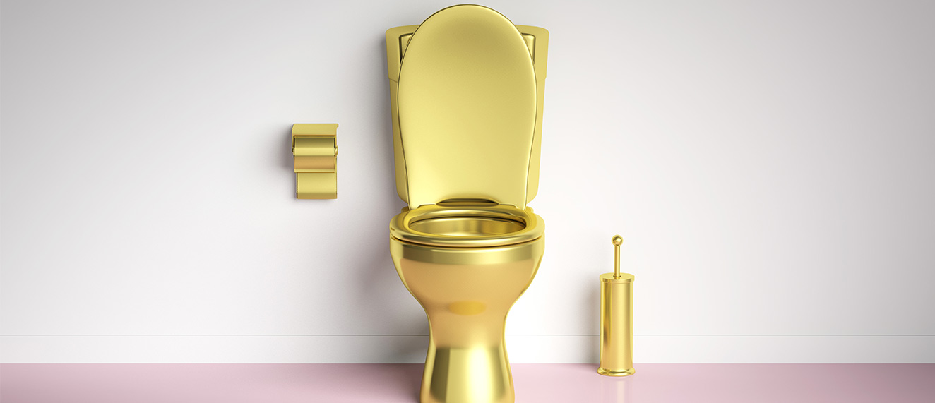 Golden toilet.