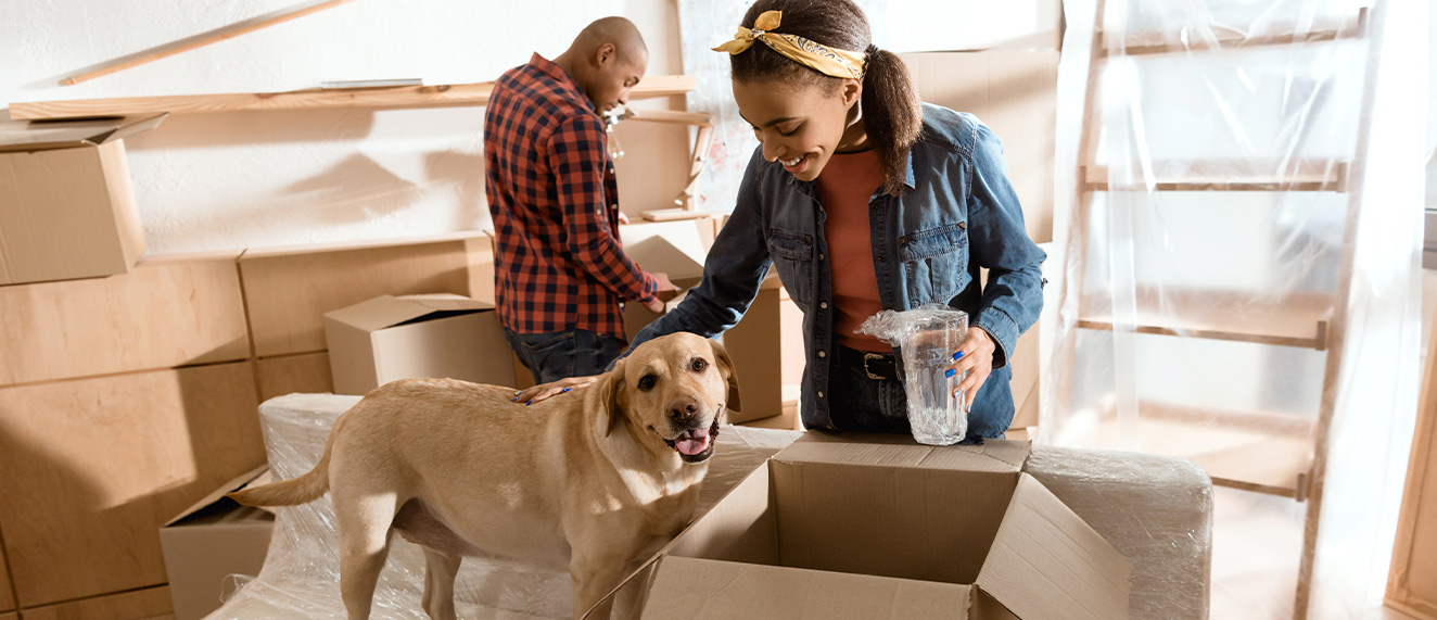 Couple and dog packing moving boxes.