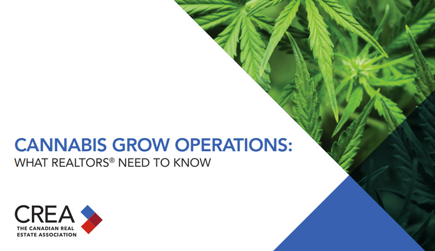 Cannabis Grow Operations