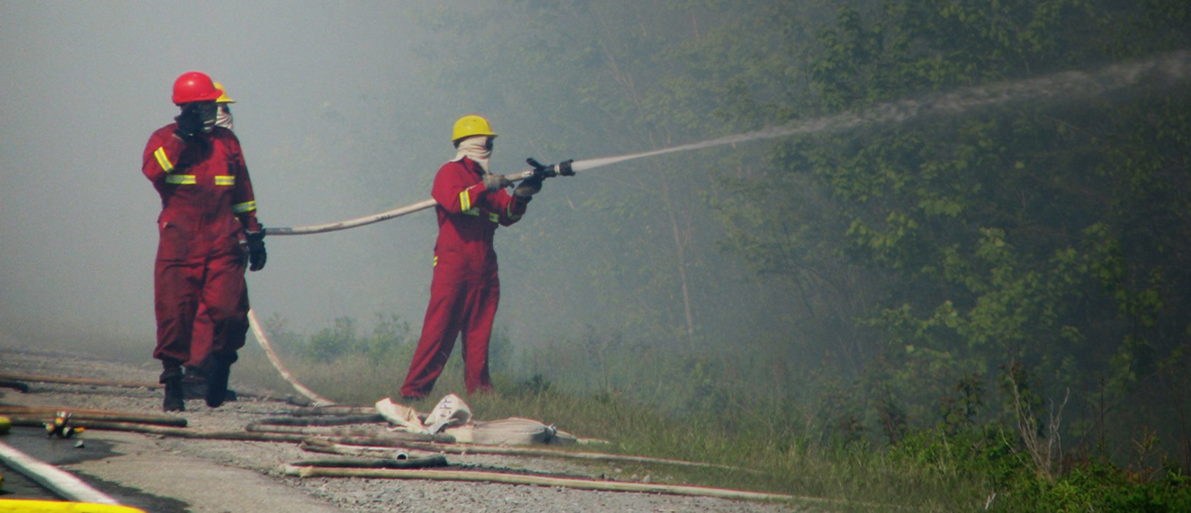 Firefighters spraying water at trees on fire. 