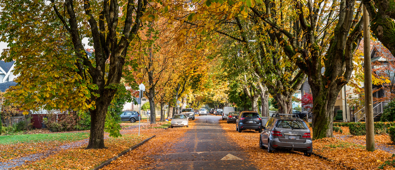 Fall street in Canada.